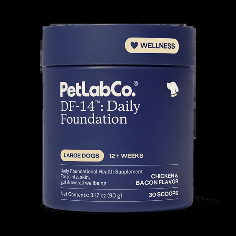 Daily Foundation — One Scoop, Complete Senior Wellness