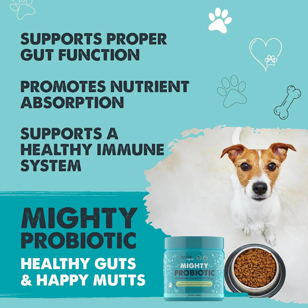 Mighty Paw Complete Daily Bundle - 3-Pack: Mighty Probiotic + Mighty Omega + Mighty Joints - 360 Soft Chews for Total Dog Wellness