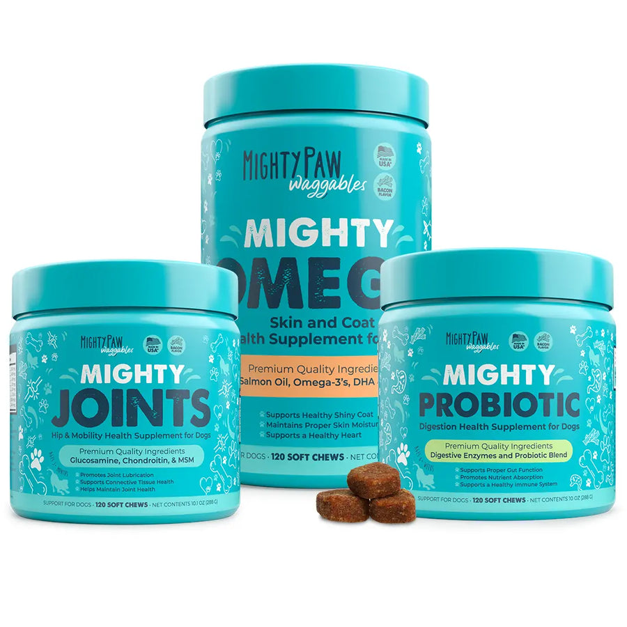 3-in-1 Daily Wellness Bundle for Dogs — Joints, Immunity & Digestion in One