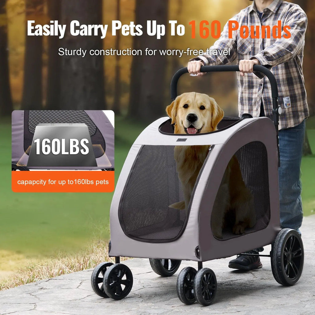 Tu perro ya no puede caminar como antes, pero aún merece disfrutar el mundo