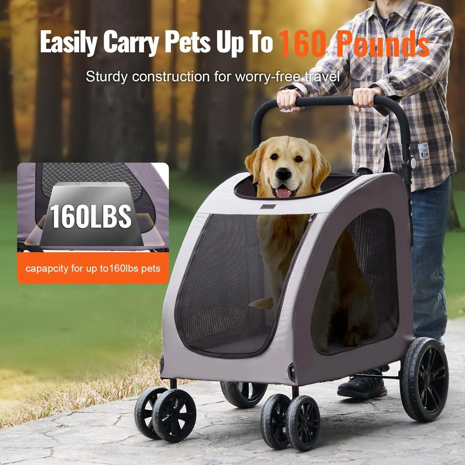 Tu perro ya no puede caminar como antes, pero aún merece disfrutar el mundo