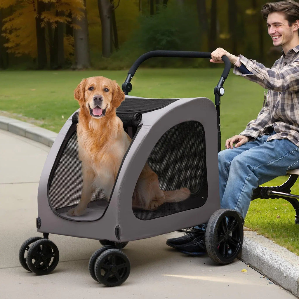 Tu perro ya no puede caminar como antes, pero aún merece disfrutar el mundo