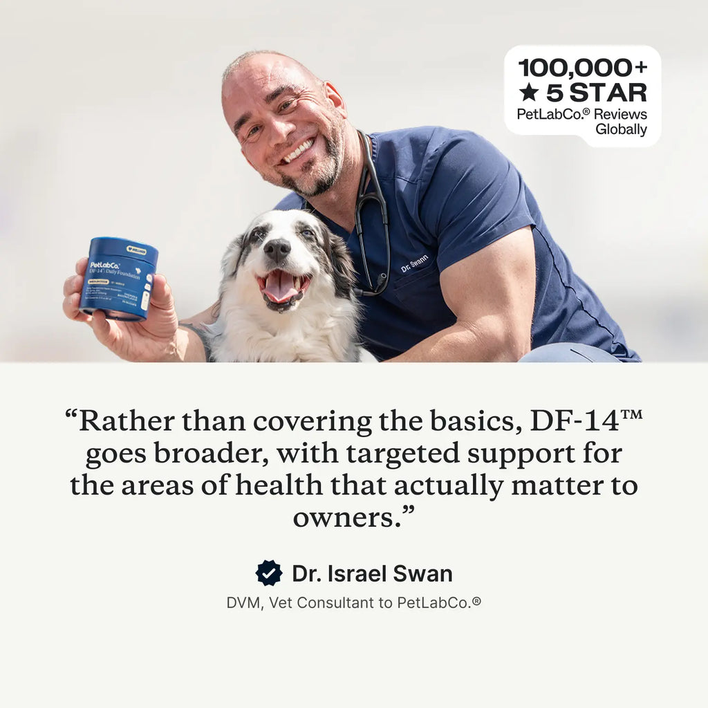 Daily Foundation — One Scoop, Complete Senior Wellness