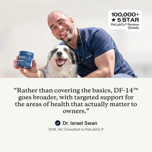 Daily Foundation — One Scoop, Complete Senior Wellness