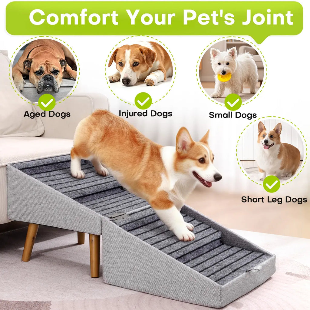 Ayuda a tu perro a subir al sofá o a la cama sin lastimar sus articulaciones