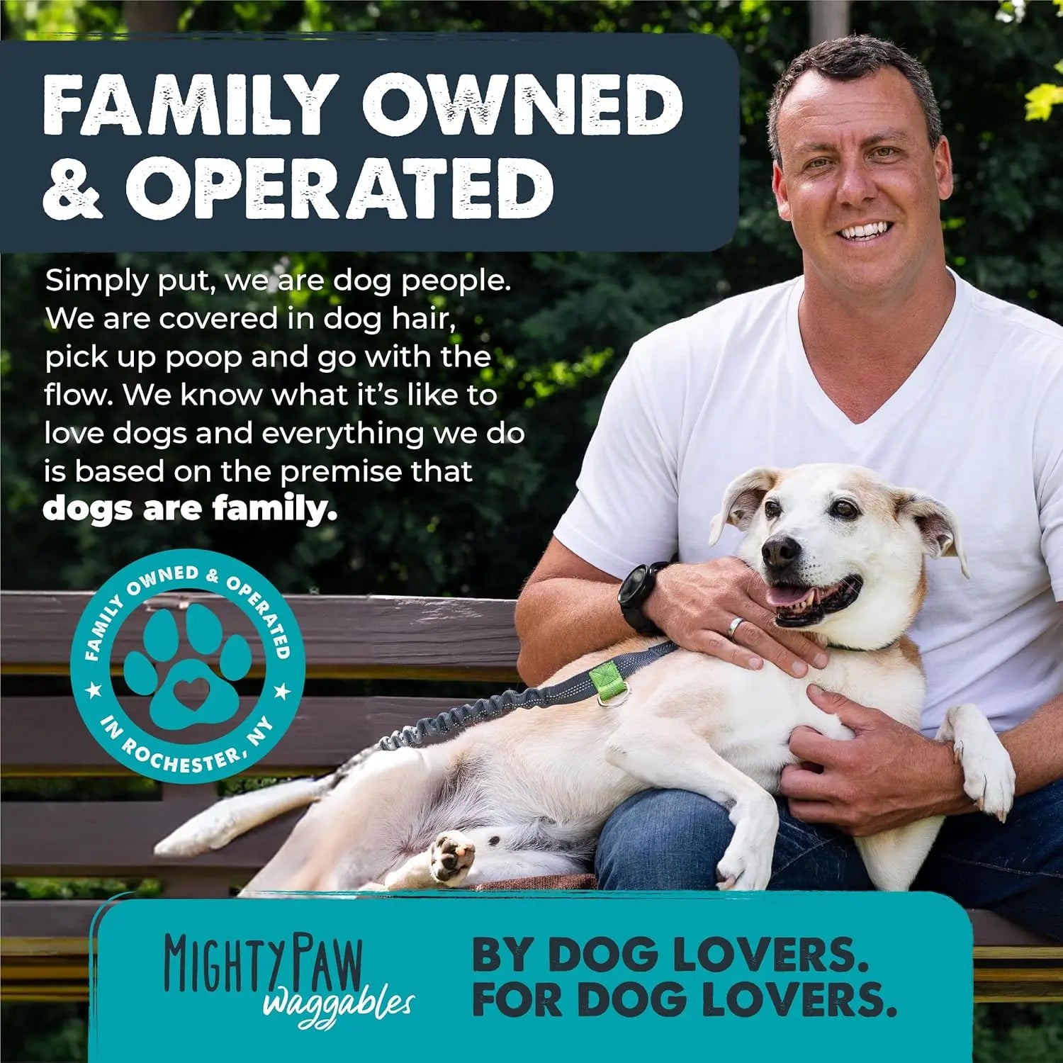 Mighty Paw Complete Daily Bundle - 3-Pack: Mighty Probiotic + Mighty Omega + Mighty Joints - 360 Soft Chews for Total Dog Wellness