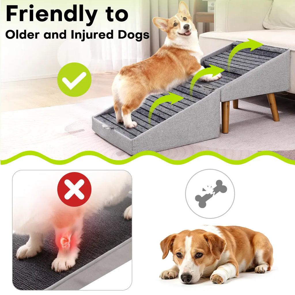 Ayuda a tu perro a subir al sofá o a la cama sin lastimar sus articulaciones