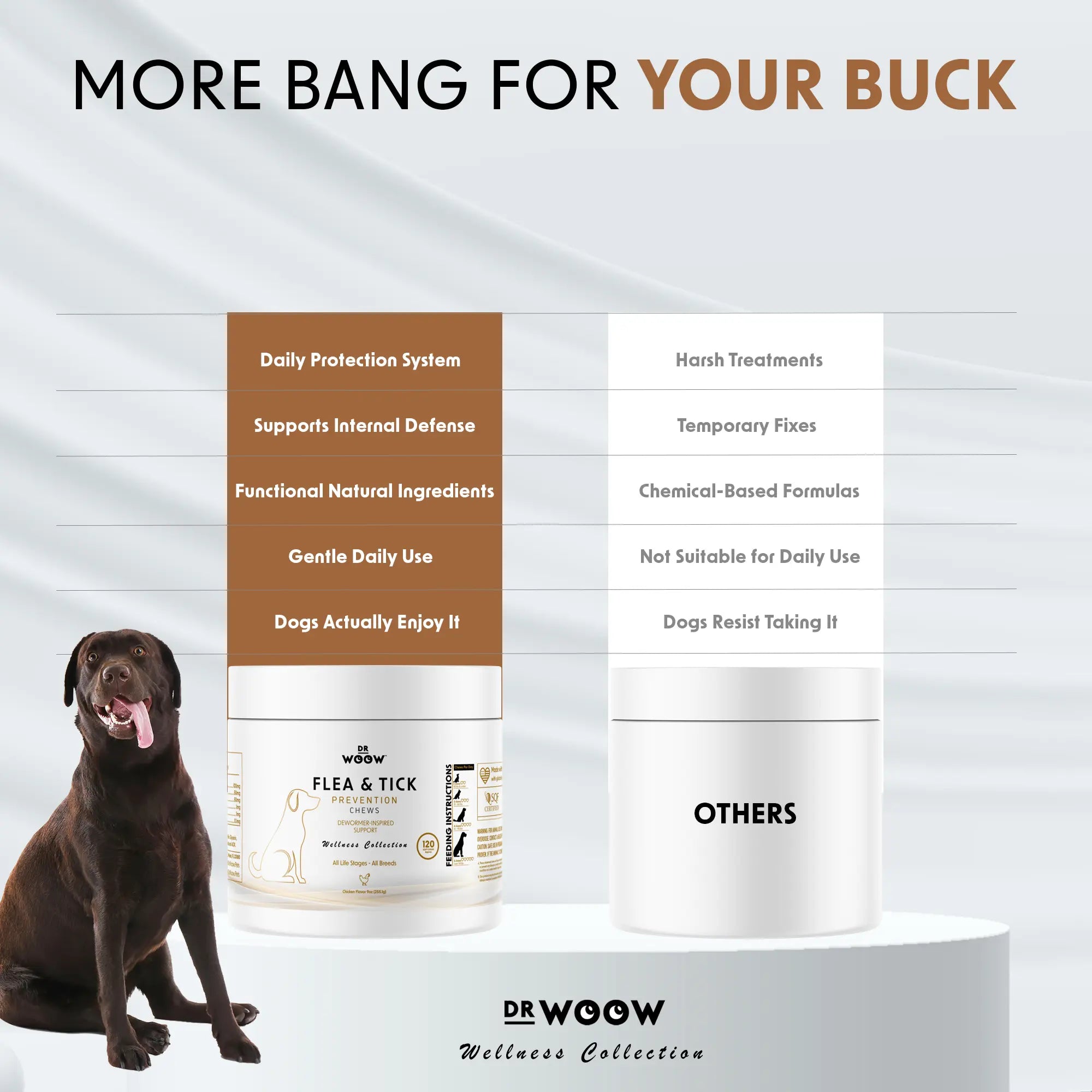 Immunity & Coat Chews — Daily Health from Nose to Tail
