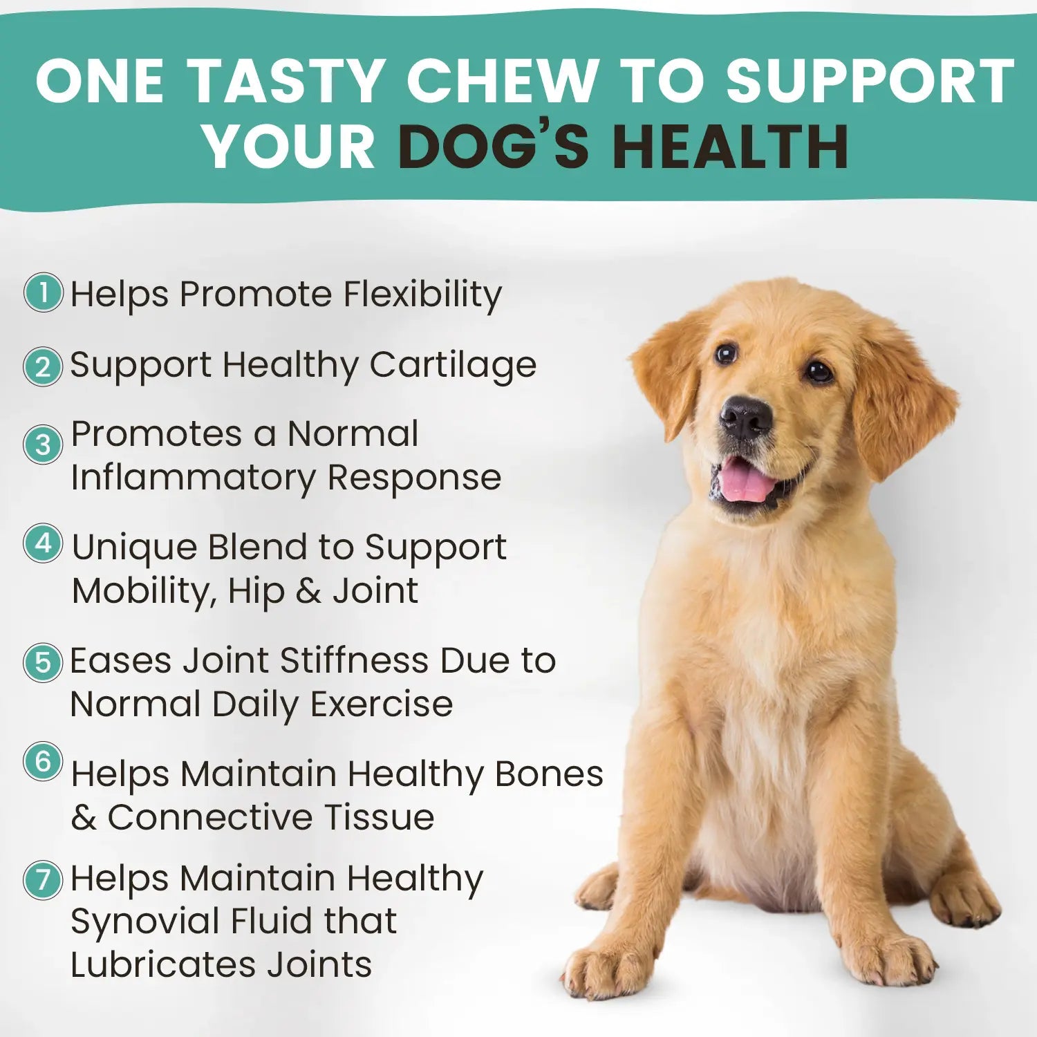 Mobility Chews — Hip & Joint Support for Senior Dogs