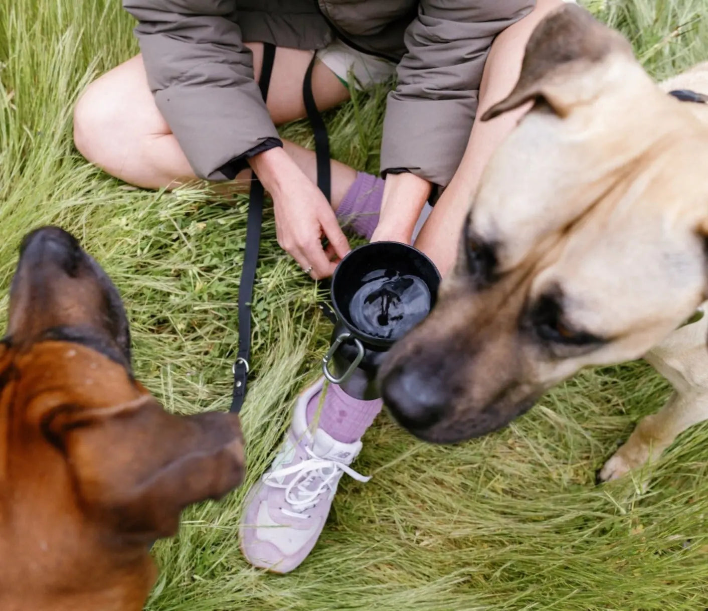 Botellas de agua de viaje para perros Flip de 20 oz (juego de 2)