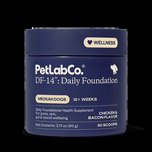 Daily Foundation — One Scoop, Complete Senior Wellness