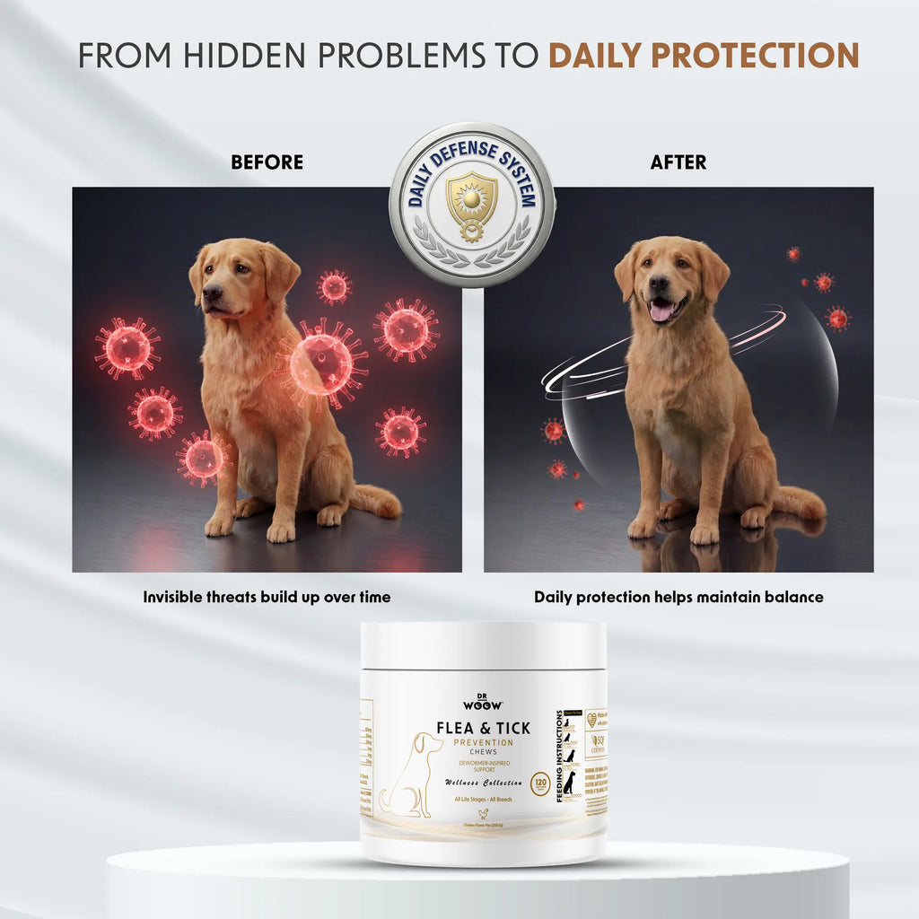 Immunity & Coat Chews — Daily Health from Nose to Tail
