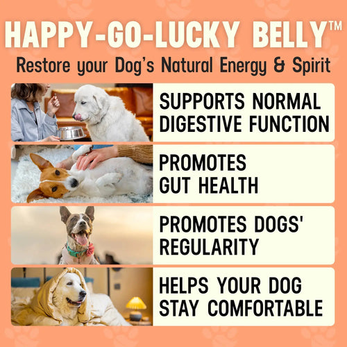 Happy-Go-Lucky Belly – Dog Digestive & Gut Wellness Support | by Cesar Millan