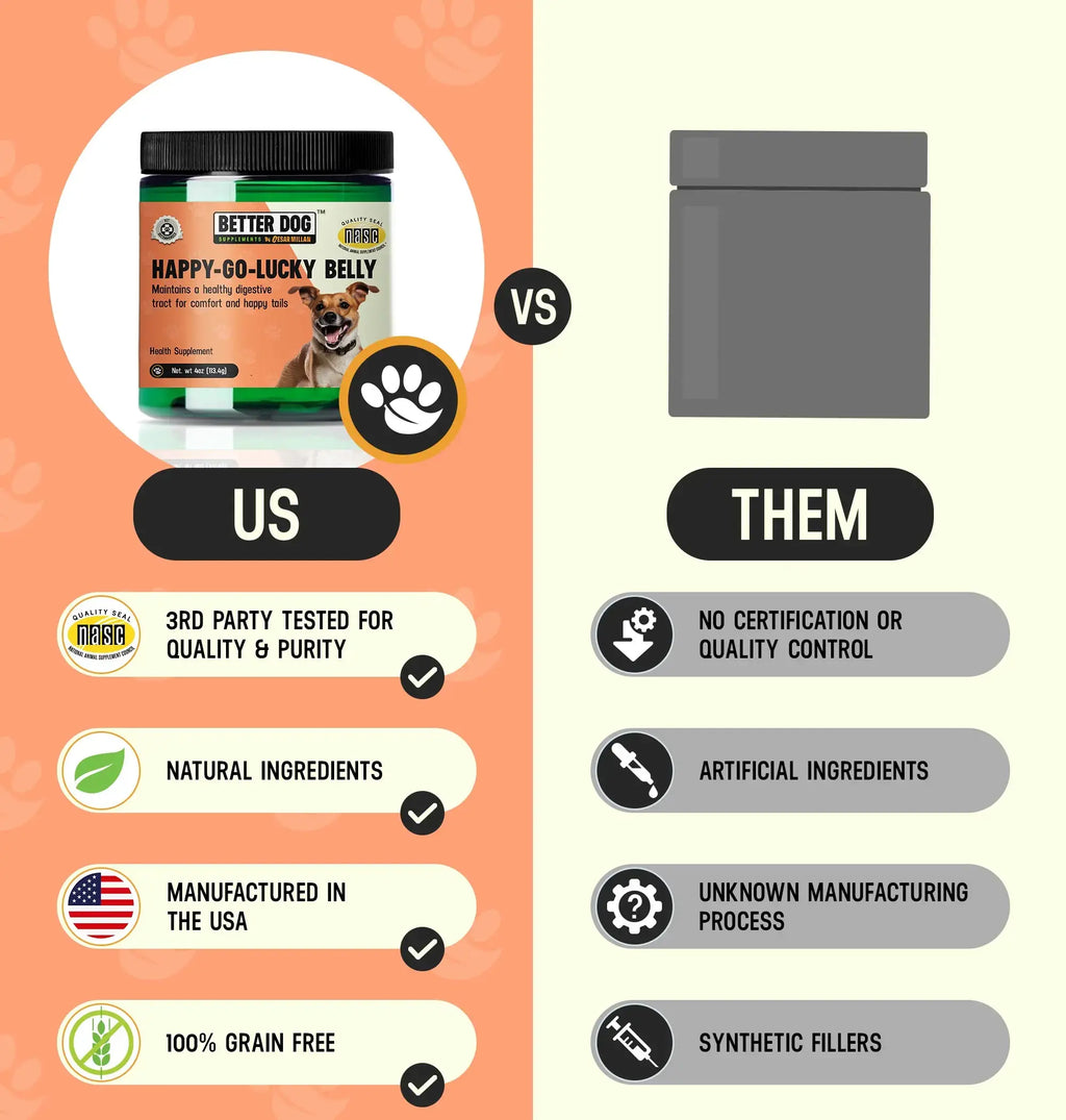 Happy-Go-Lucky Belly – Dog Digestive & Gut Wellness Support | by Cesar Millan