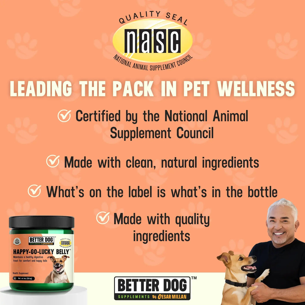 Happy-Go-Lucky Belly – Dog Digestive & Gut Wellness Support | by Cesar Millan