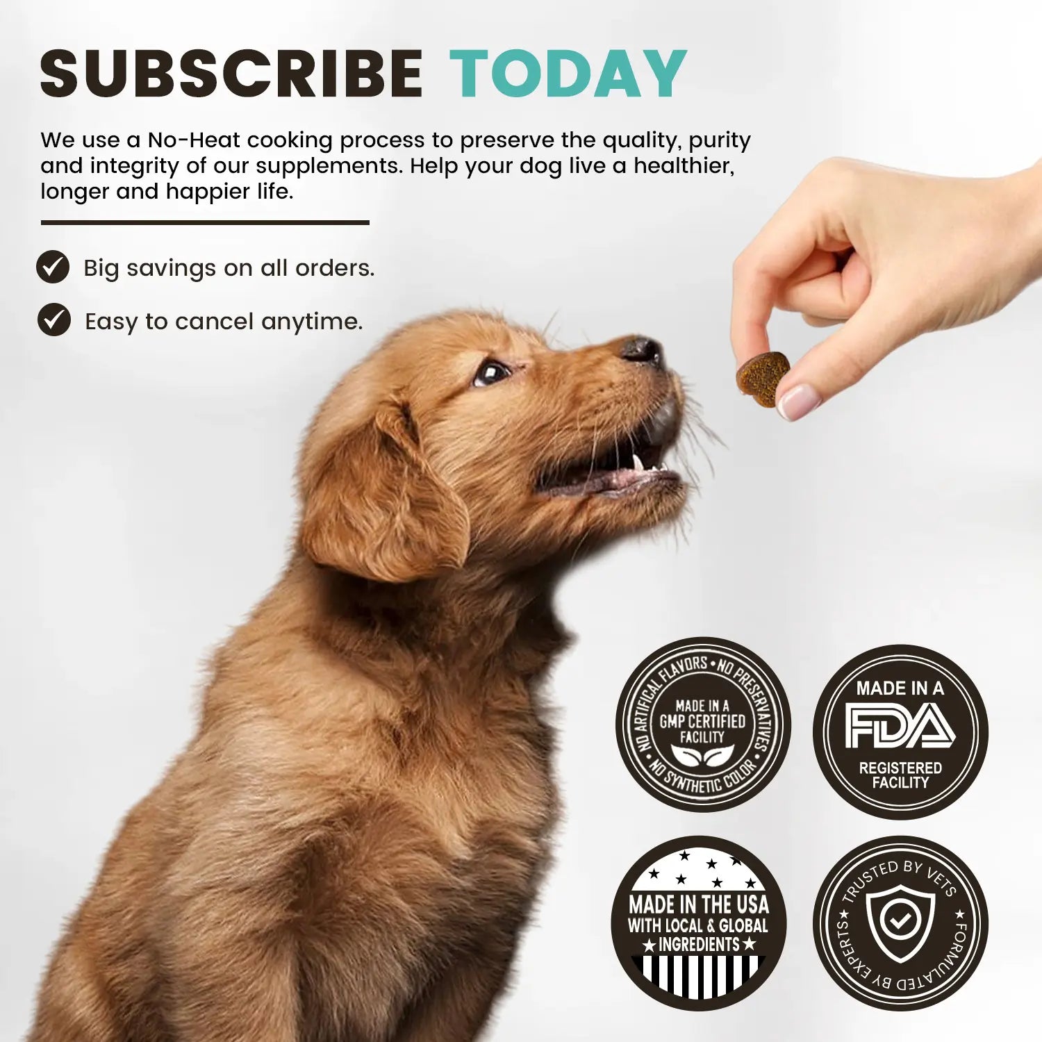 Mobility Chews — Hip & Joint Support for Senior Dogs
