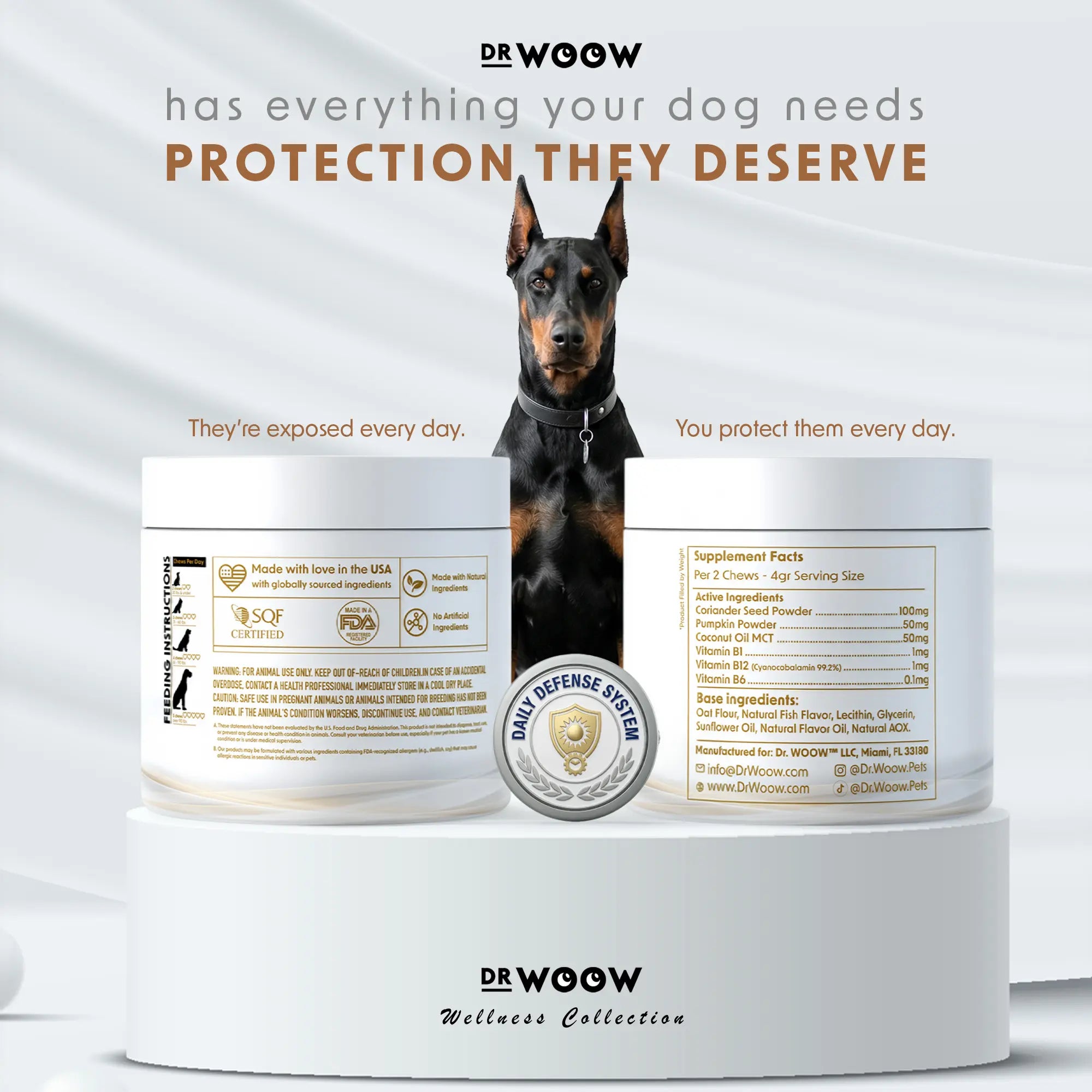 Immunity & Coat Chews — Daily Health from Nose to Tail