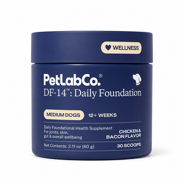Daily Foundation — One Scoop, Complete Senior Wellness