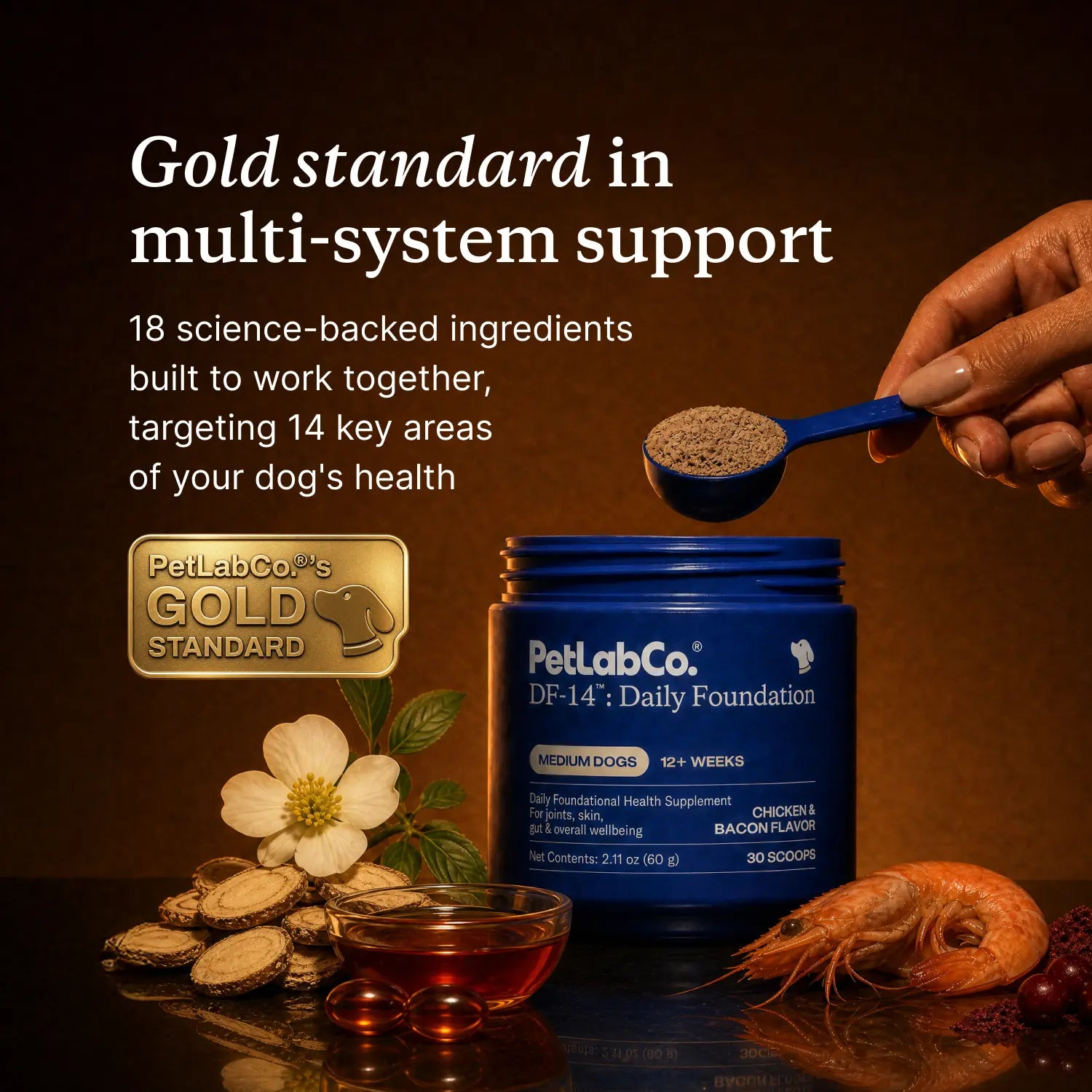 Daily Foundation — One Scoop, Complete Senior Wellness