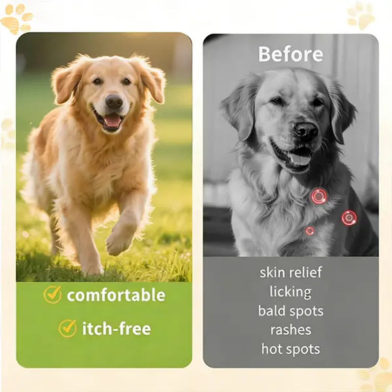Sbbc Dogs Use Fleas and Ticks+Itch-Relieving Chews, Dogs Use Fleas and Ticks, Dog Skin Allergy Chews, Dog Itch Skin Relief and Skin Repair, Flea Tick Skin Problems Relief, 100 Soft Chews, Chicken Flavor.