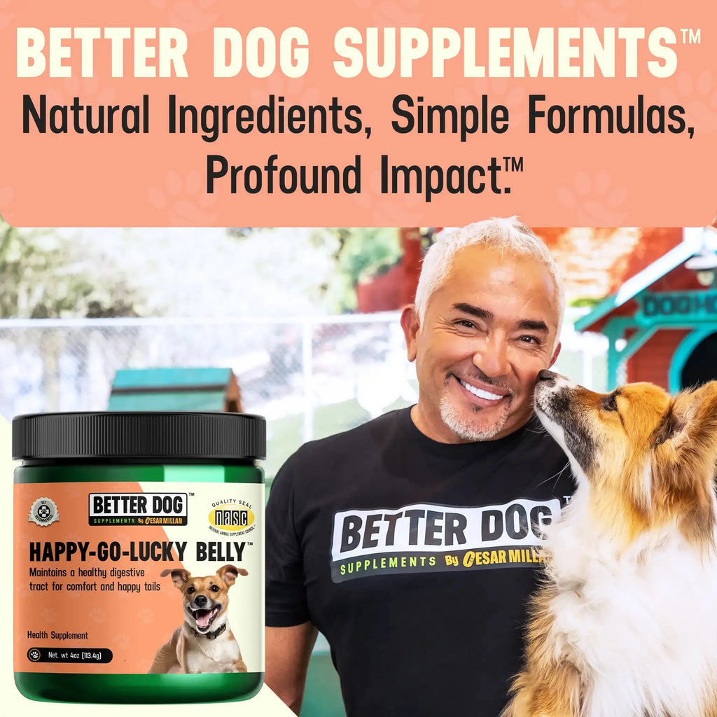 Happy-Go-Lucky Belly – Dog Digestive & Gut Wellness Support | by Cesar Millan