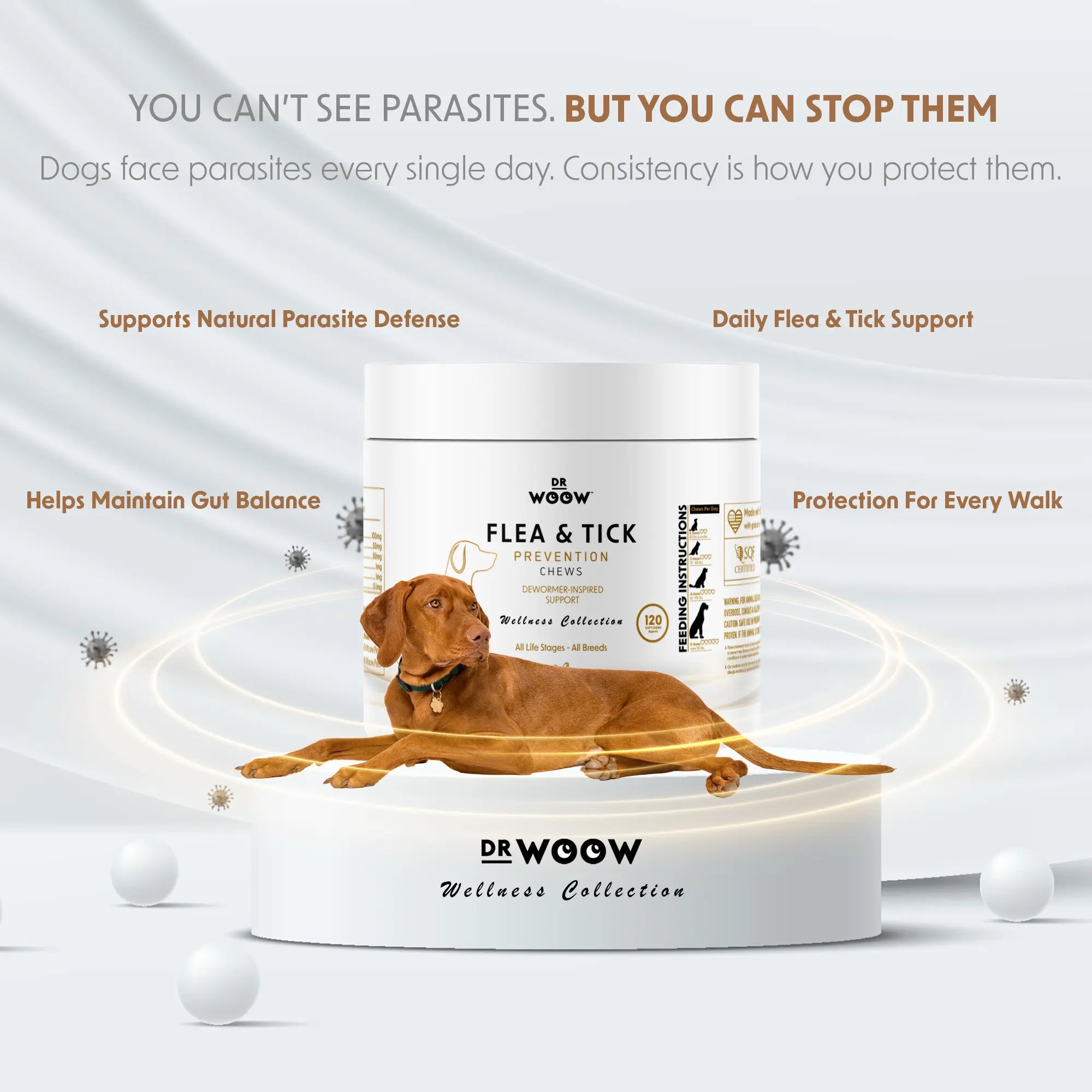 Immunity & Coat Chews — Daily Health from Nose to Tail