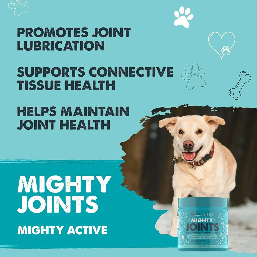 Mighty Paw Complete Daily Bundle - 3-Pack: Mighty Probiotic + Mighty Omega + Mighty Joints - 360 Soft Chews for Total Dog Wellness