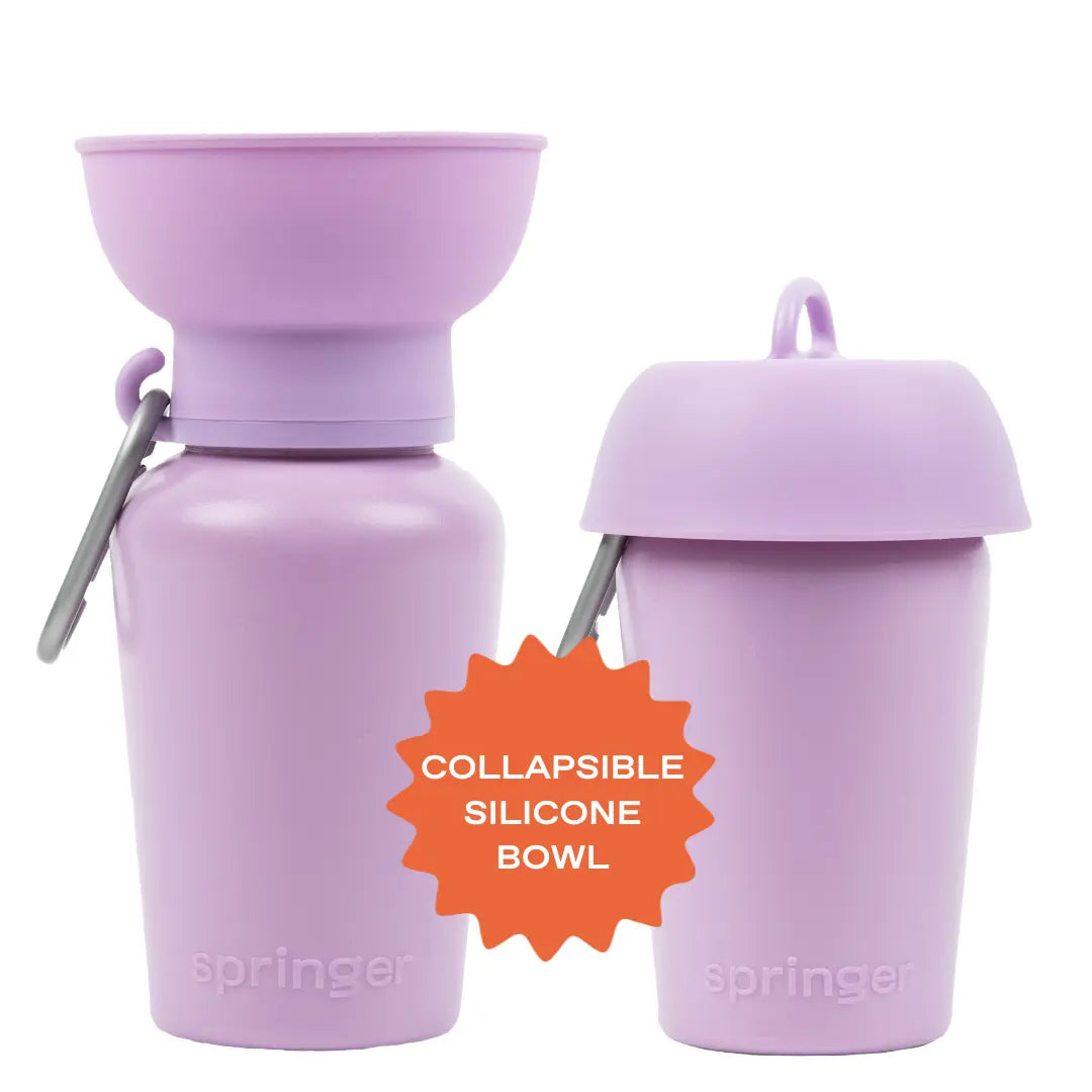 Botellas de agua de viaje para perros Flip de 20 oz (juego de 2)