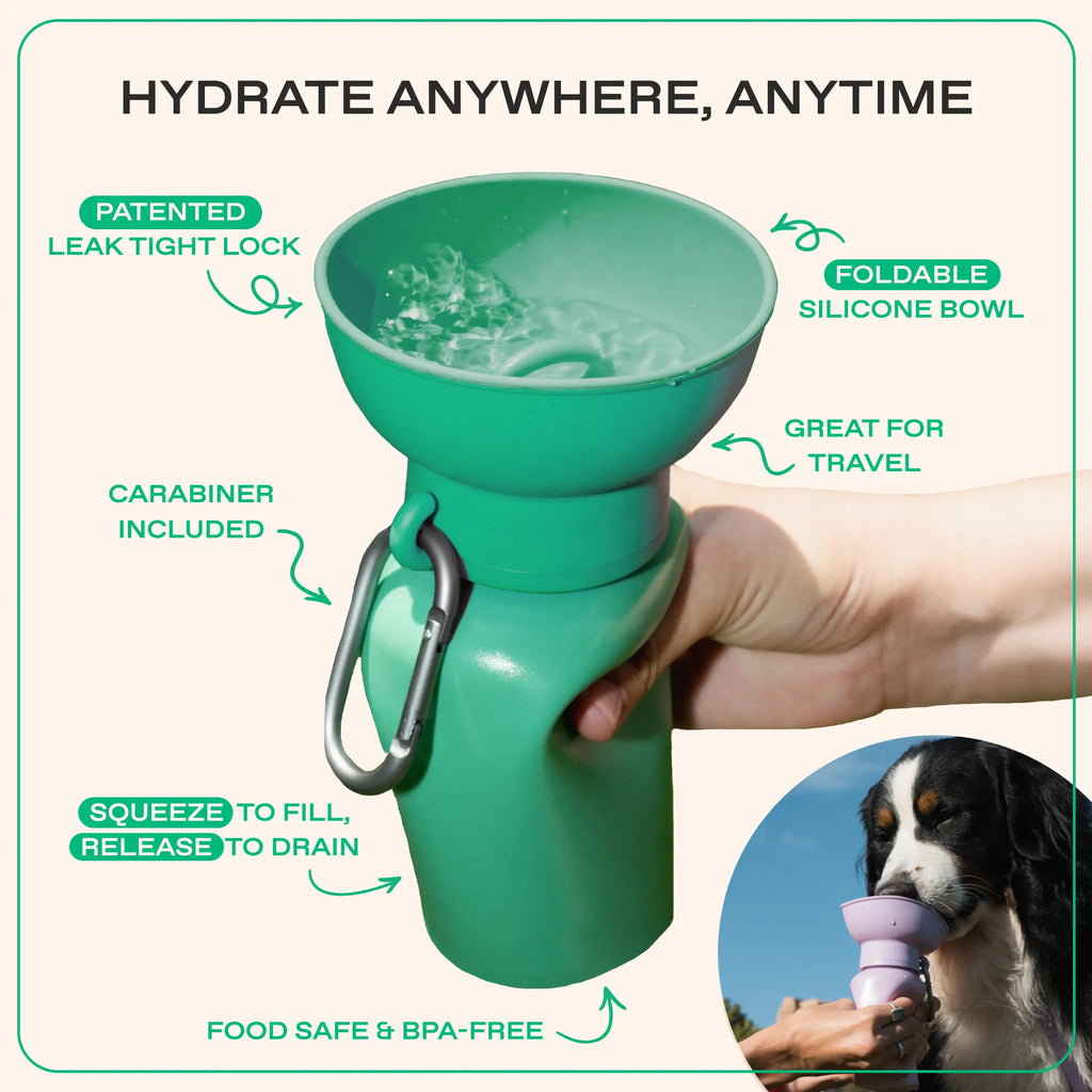 Botellas de agua de viaje para perros Flip de 20 oz (juego de 2)