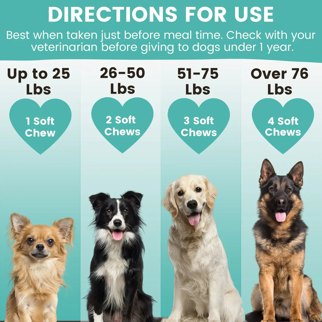 Mobility Chews — Hip & Joint Support for Senior Dogs